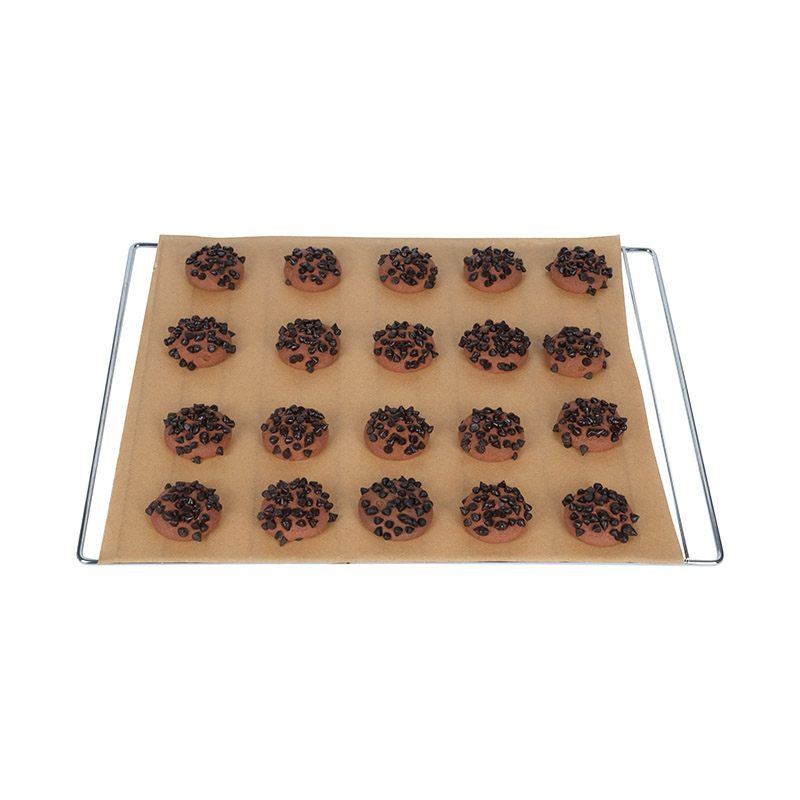Roaster Non Stick Silikon Kaplama Tavan Astar
